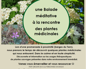 Evènement - Balade méditative autour des plantes médicinales
