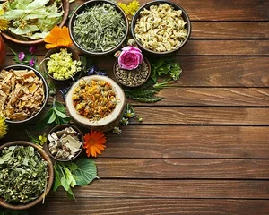 Phytothérapie et soins naturels à Millau - Nature et merveilles